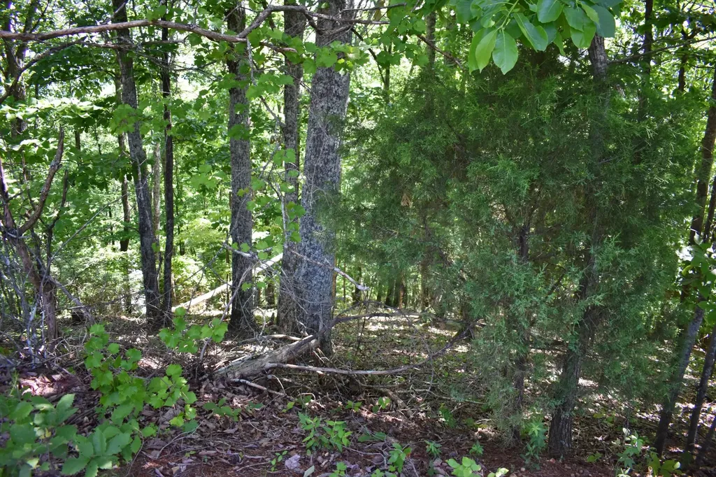 0 Flint Ridge Road Rockwood TN 37854