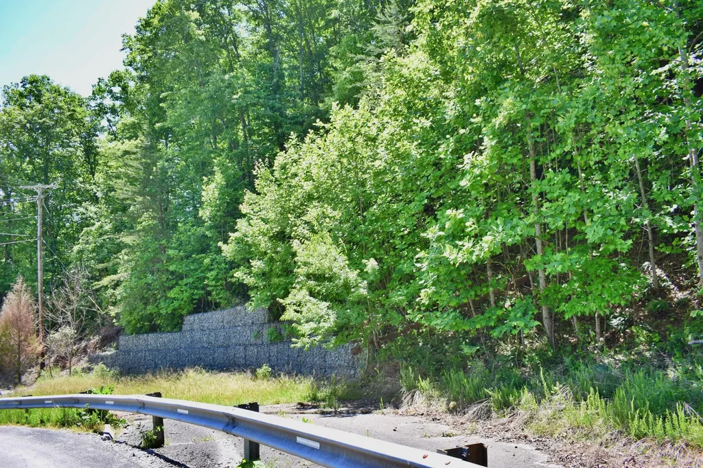 0 Flint Ridge Road Rockwood TN 37854