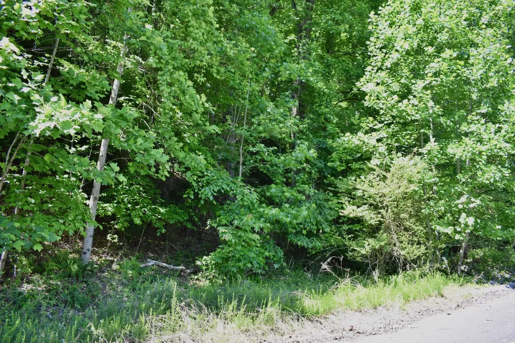 0 Flint Ridge Road Rockwood TN 37854