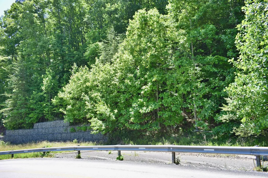 0 Flint Ridge Road Rockwood TN 37854