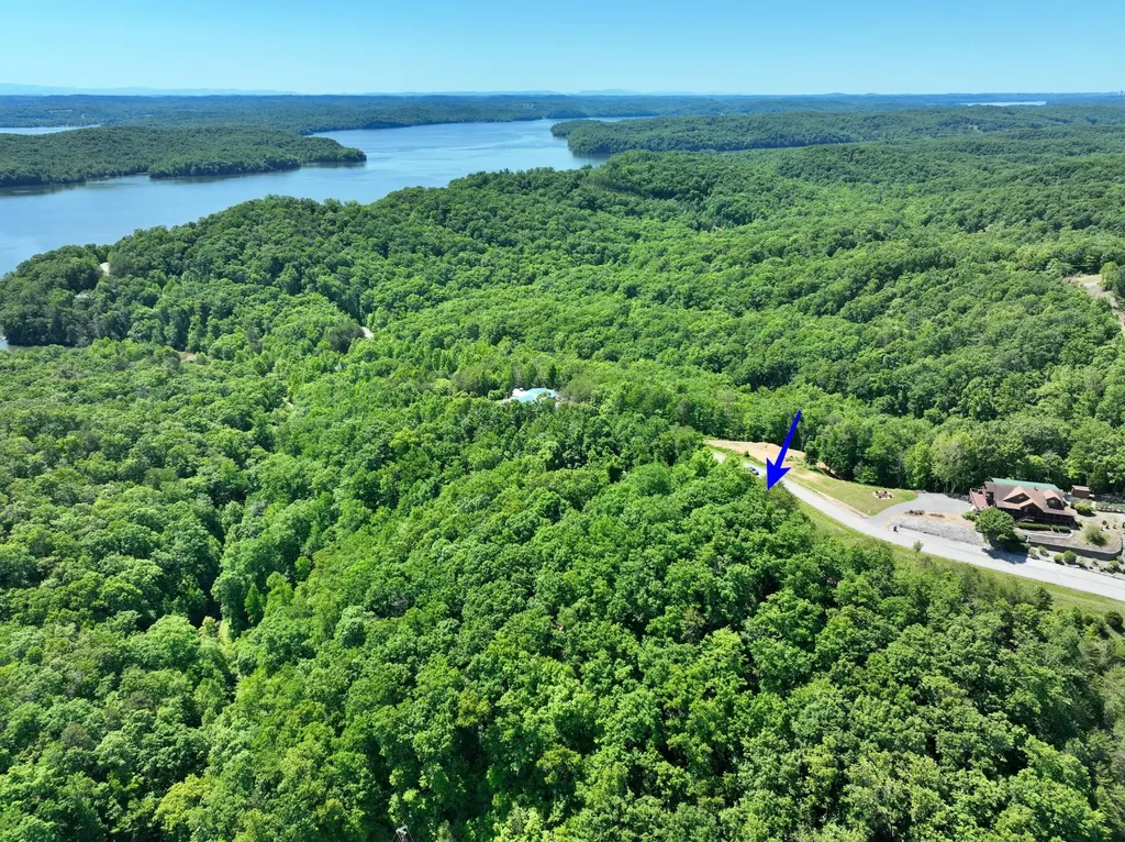 0 Flint Ridge Road Rockwood TN 37854
