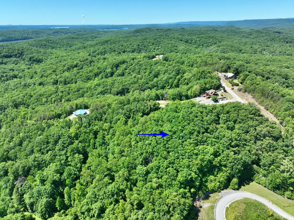 0 Flint Ridge Road Rockwood TN 37854