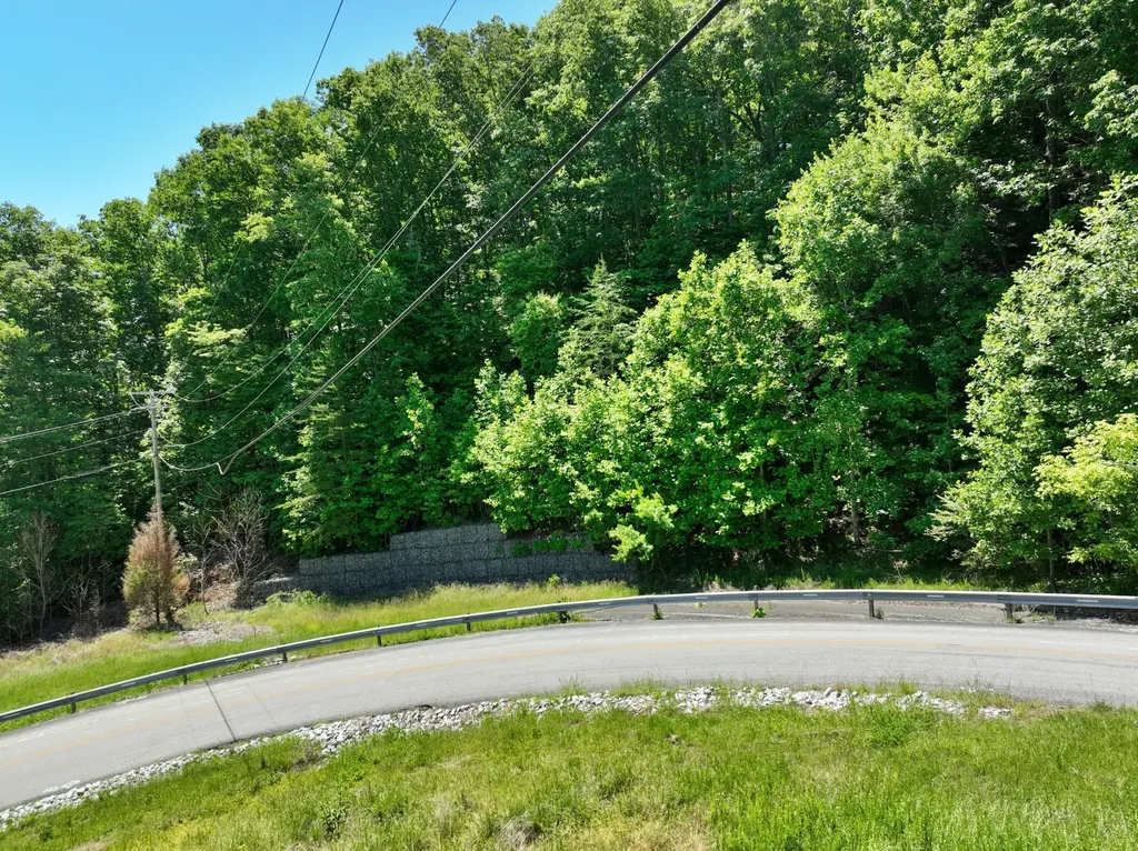 0 Flint Ridge Road Rockwood TN 37854