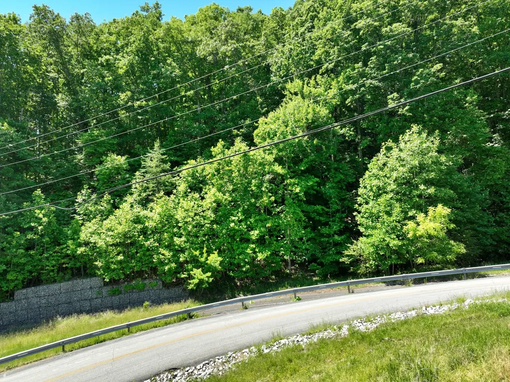 0 Flint Ridge Road Rockwood TN 37854
