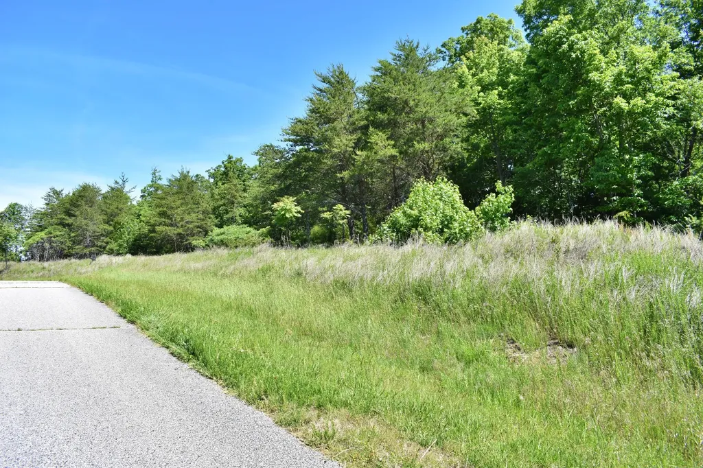 0 Flint Ridge Road Rockwood TN 37854