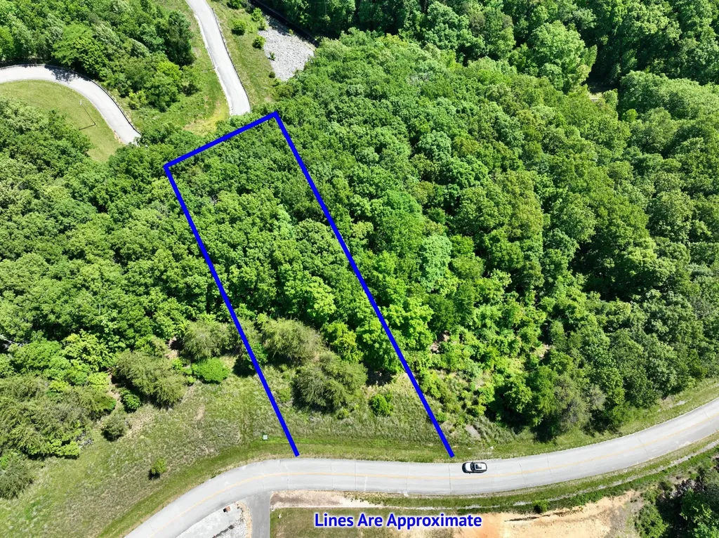 0 Flint Ridge Road Rockwood TN 37854