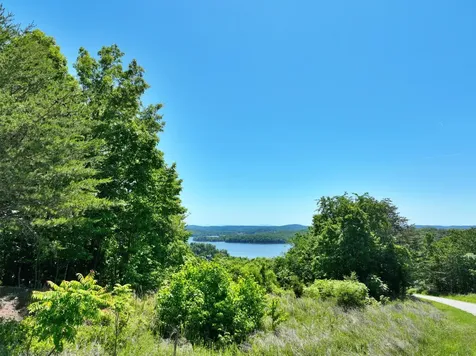 0 Flint Ridge Road Rockwood TN 37854