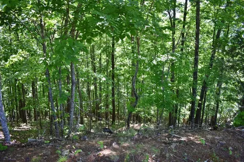 0 Flint Ridge Road Rockwood TN 37854