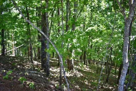 0 Flint Ridge Road Rockwood TN 37854