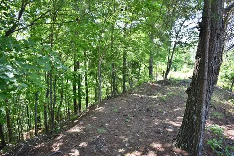 0 Flint Ridge Road Rockwood TN 37854