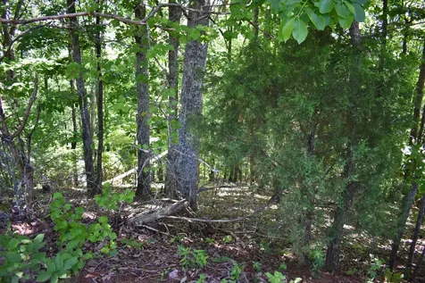 0 Flint Ridge Road Rockwood TN 37854