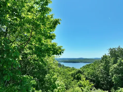 0 Flint Ridge Road Rockwood TN 37854