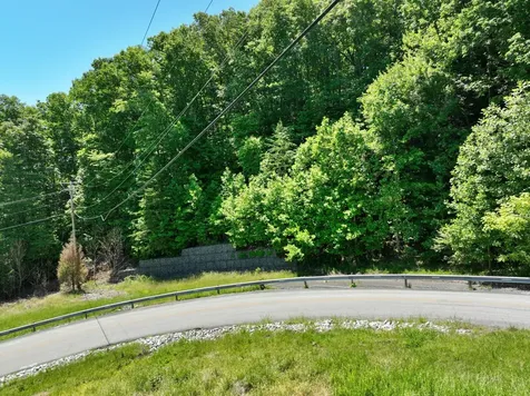 0 Flint Ridge Road Rockwood TN 37854