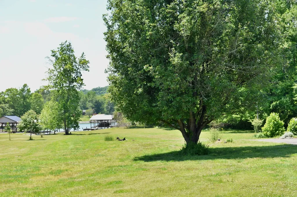3442 River Road Ten Mile TN 37880