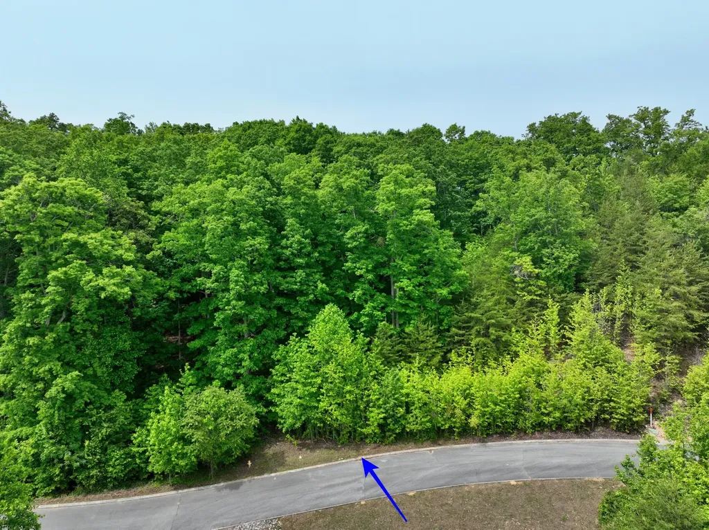 450 Hidden Forest Trail Spring City TN 37381