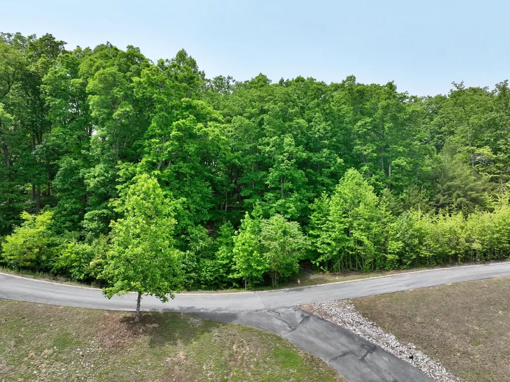 450 Hidden Forest Trail Spring City TN 37381