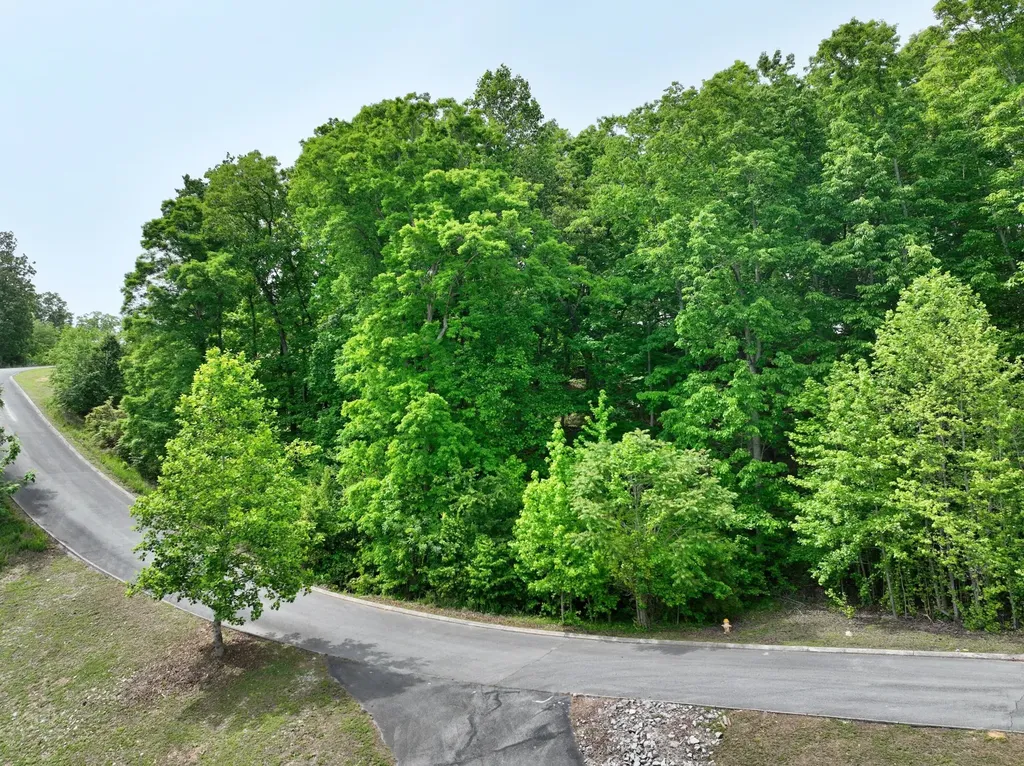 450 Hidden Forest Trail Spring City TN 37381