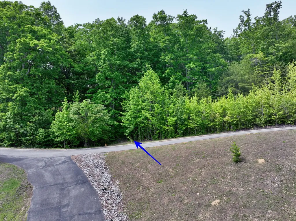 450 Hidden Forest Trail Spring City TN 37381