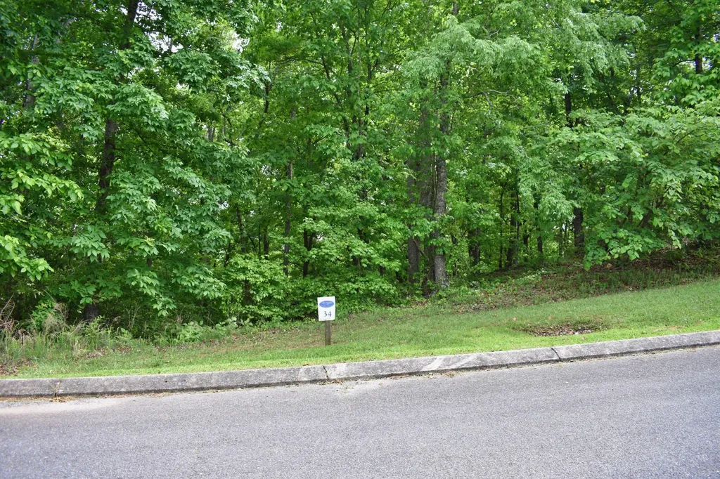 450 Hidden Forest Trail Spring City TN 37381
