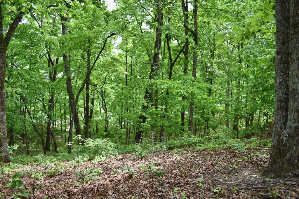 450 Hidden Forest Trail Spring City TN 37381