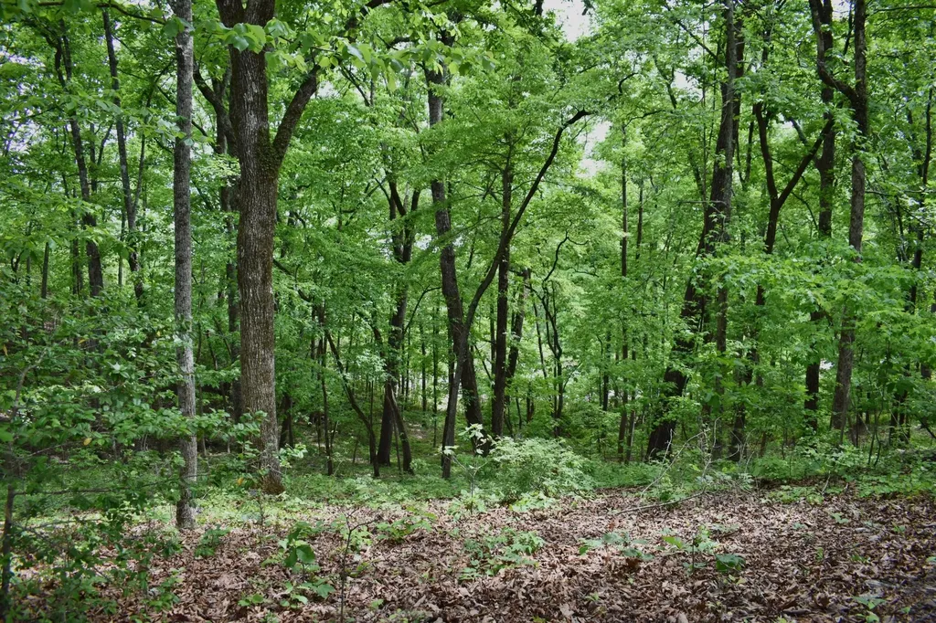 450 Hidden Forest Trail Spring City TN 37381