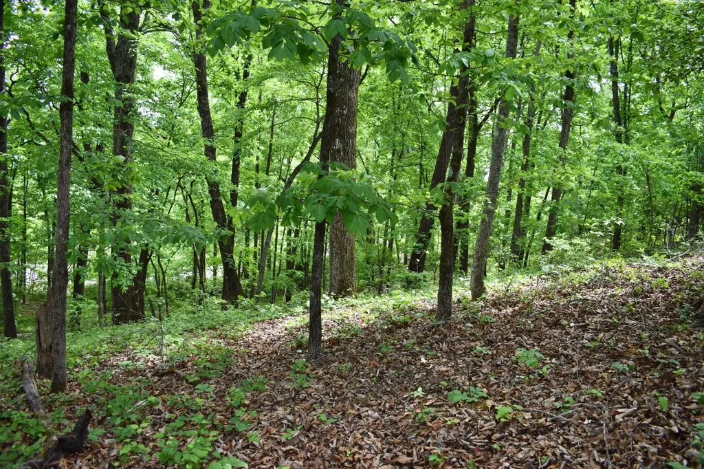 450 Hidden Forest Trail Spring City TN 37381