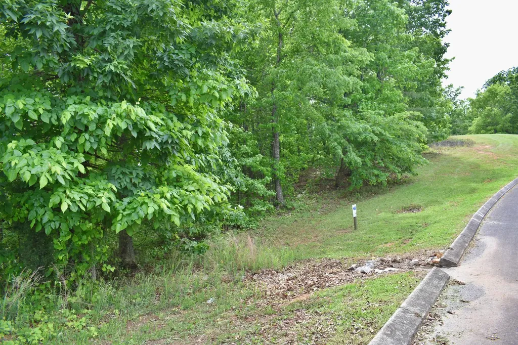450 Hidden Forest Trail Spring City TN 37381