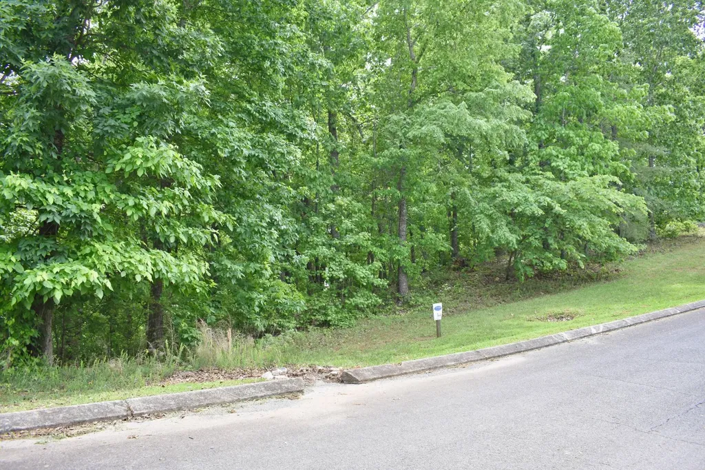 450 Hidden Forest Trail Spring City TN 37381