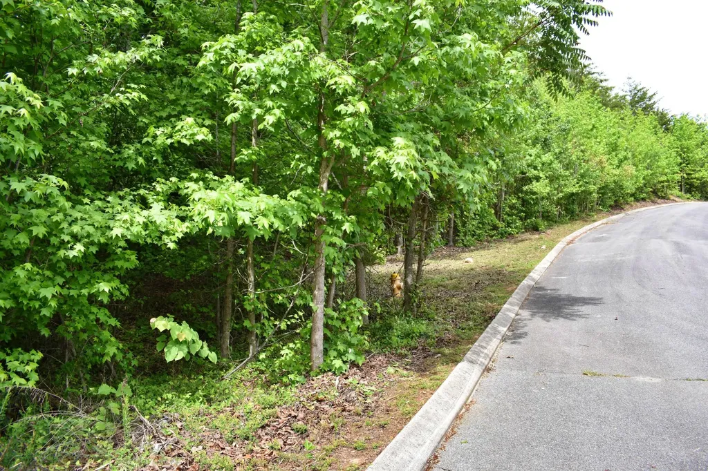 450 Hidden Forest Trail Spring City TN 37381