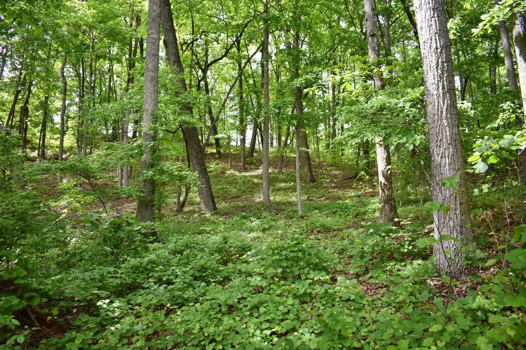 450 Hidden Forest Trail Spring City TN 37381