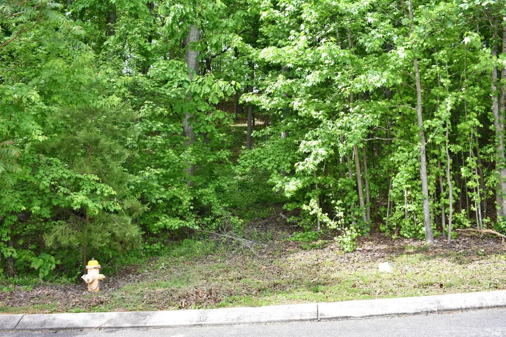 450 Hidden Forest Trail Spring City TN 37381