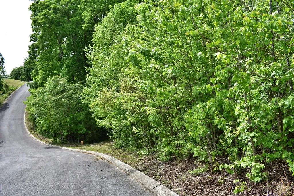 450 Hidden Forest Trail Spring City TN 37381
