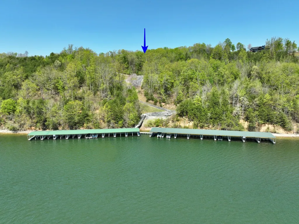 450 Hidden Forest Trail Spring City TN 37381