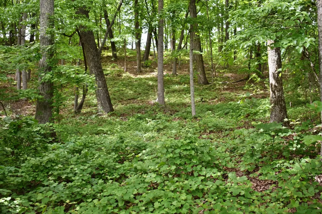 450 Hidden Forest Trail Spring City TN 37381