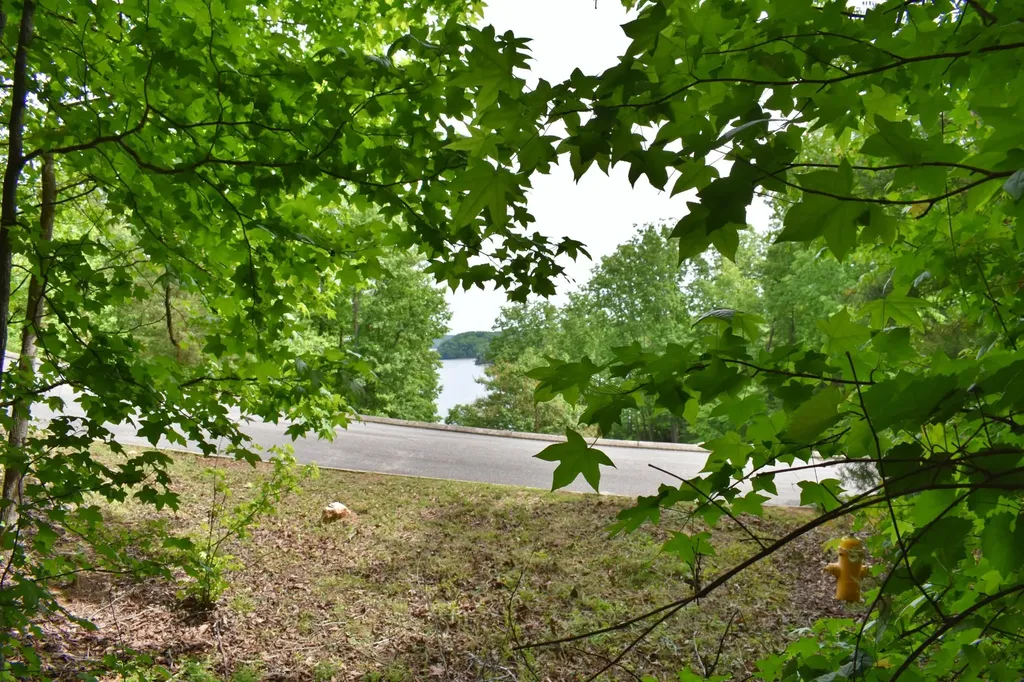 450 Hidden Forest Trail Spring City TN 37381