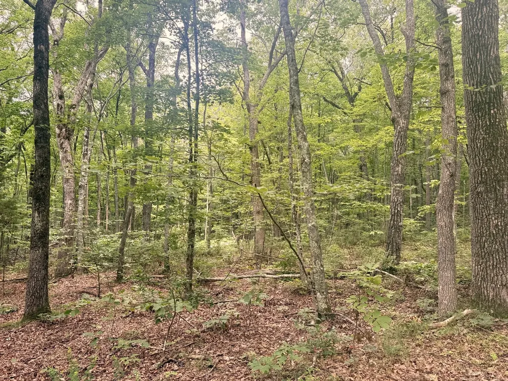 4104 Windridge Drive Dunlap TN 37327