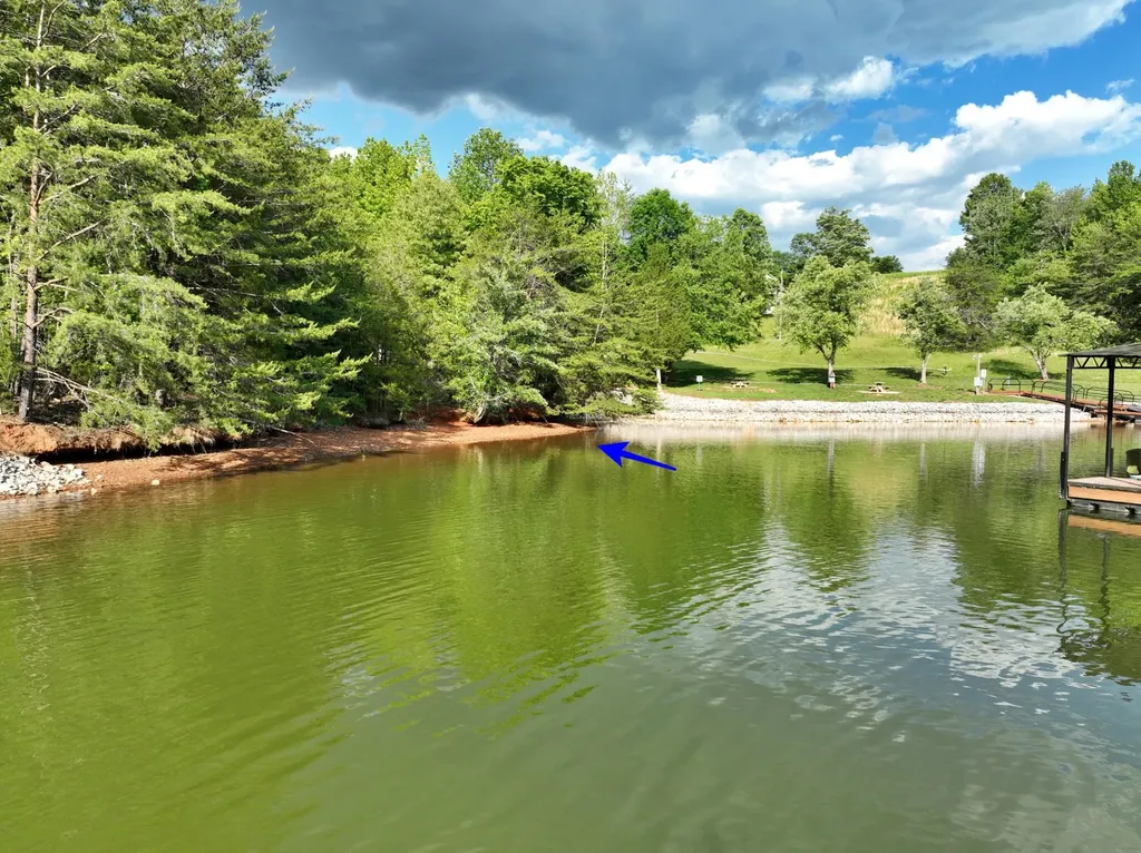 56 Blue Heron Bluff Harriman TN 37748