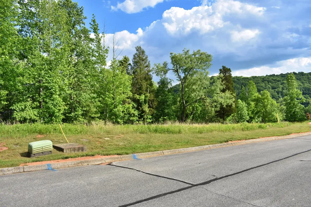 56 Blue Heron Bluff Harriman TN 37748