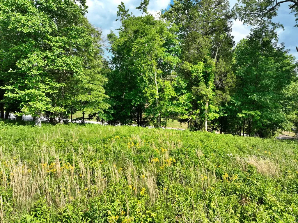 56 Blue Heron Bluff Harriman TN 37748