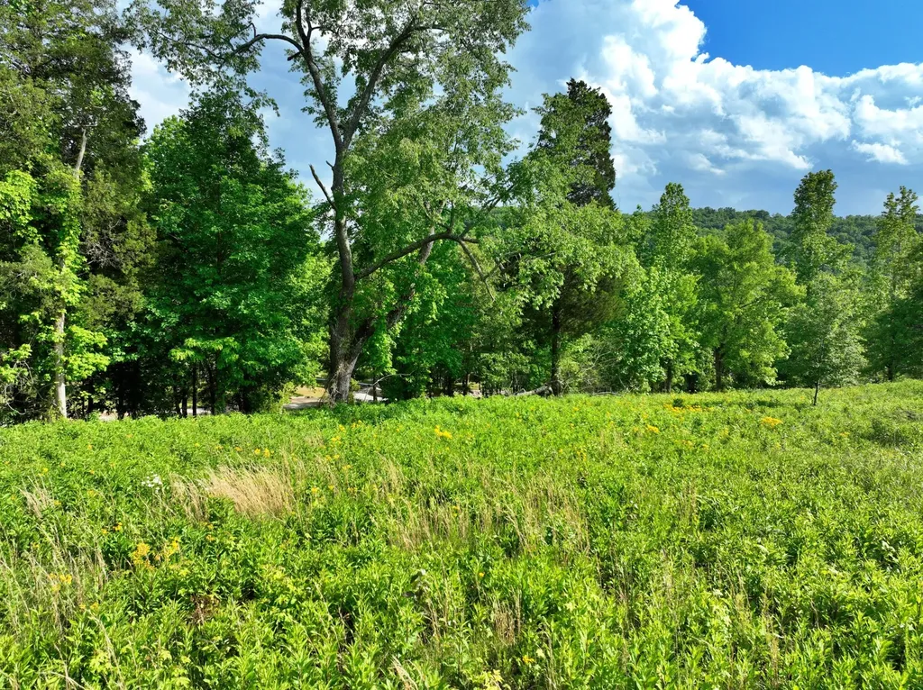 56 Blue Heron Bluff Harriman TN 37748