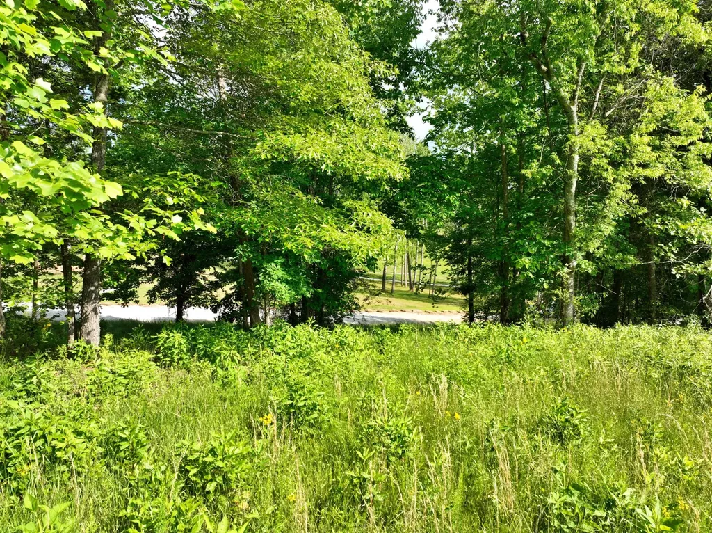 56 Blue Heron Bluff Harriman TN 37748