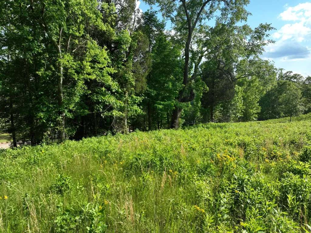 56 Blue Heron Bluff Harriman TN 37748