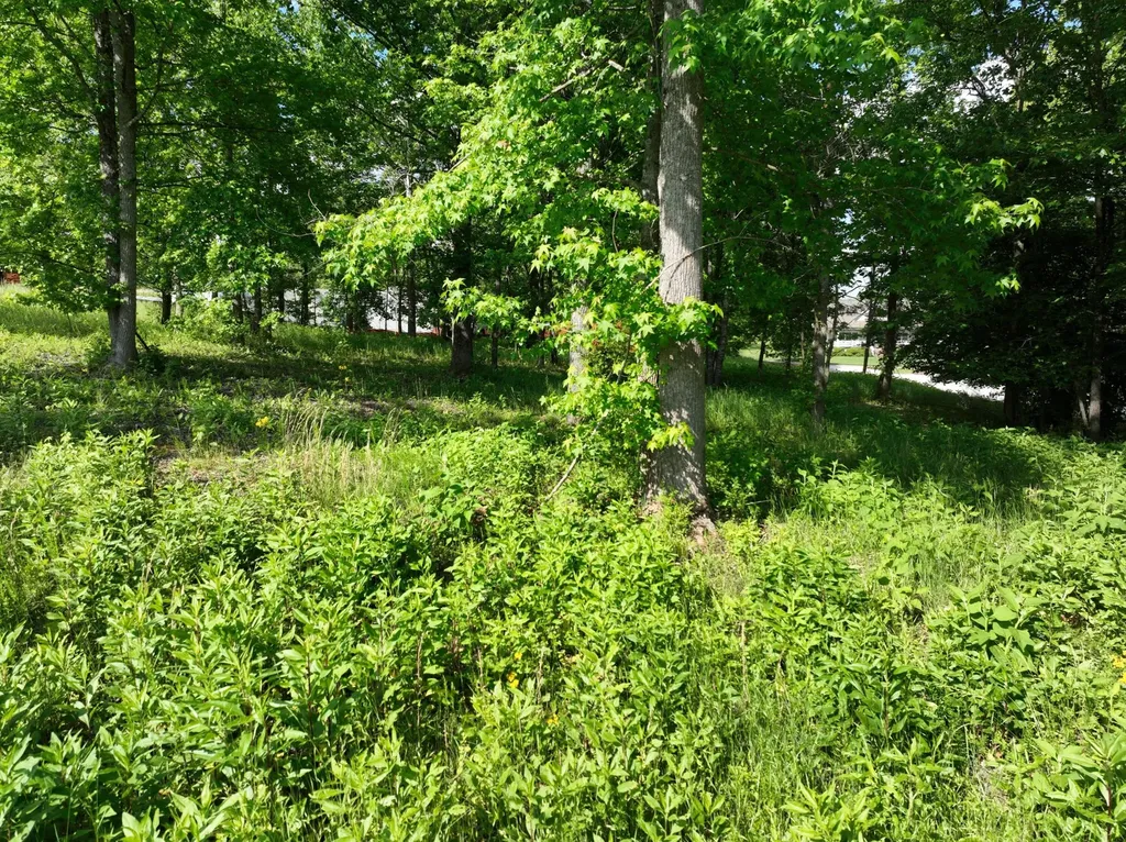 56 Blue Heron Bluff Harriman TN 37748