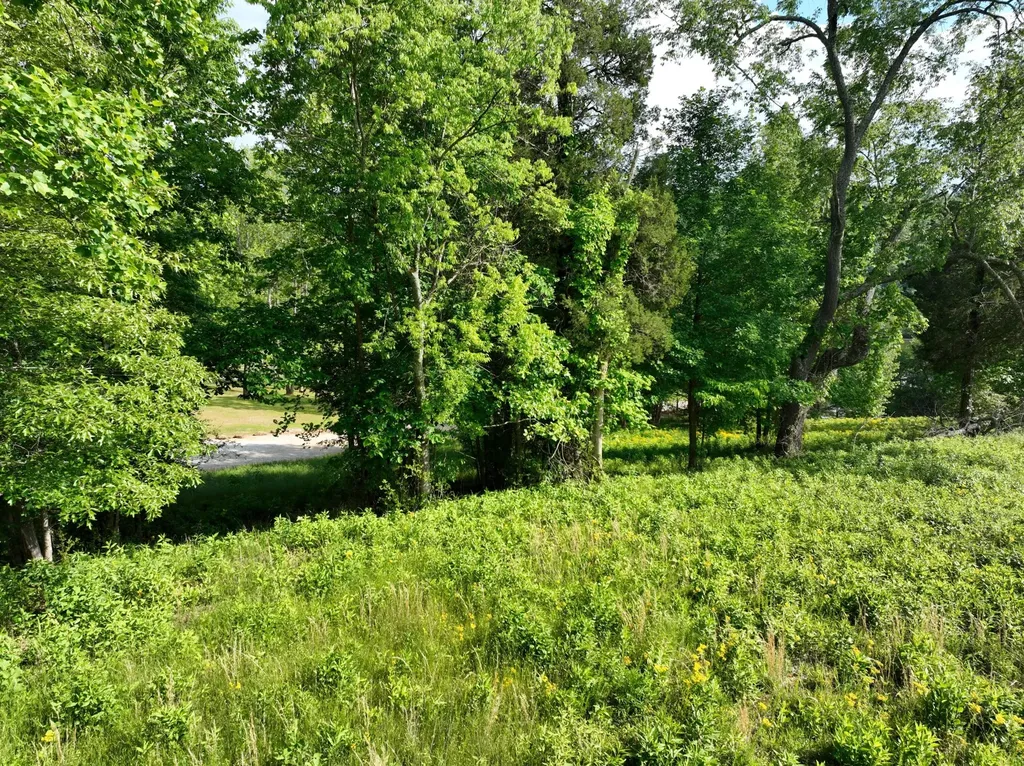56 Blue Heron Bluff Harriman TN 37748