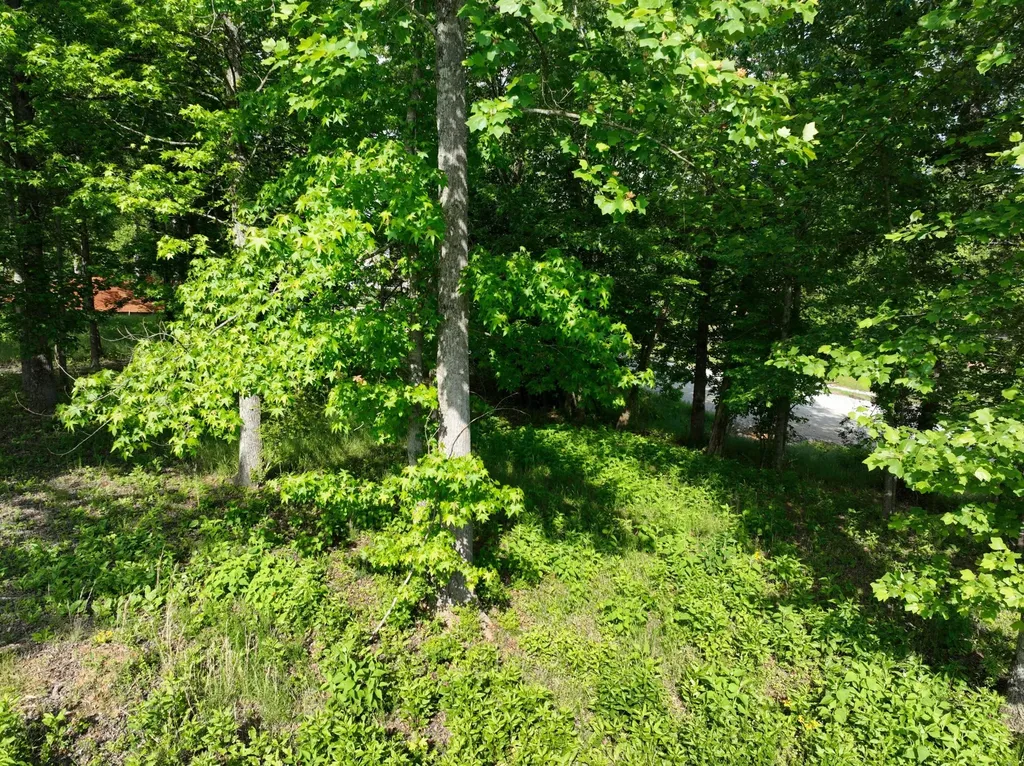 56 Blue Heron Bluff Harriman TN 37748