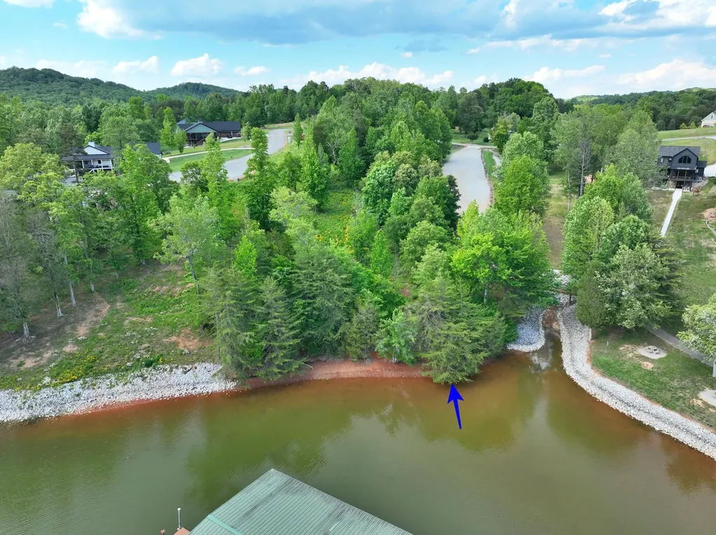 56 Blue Heron Bluff Harriman TN 37748