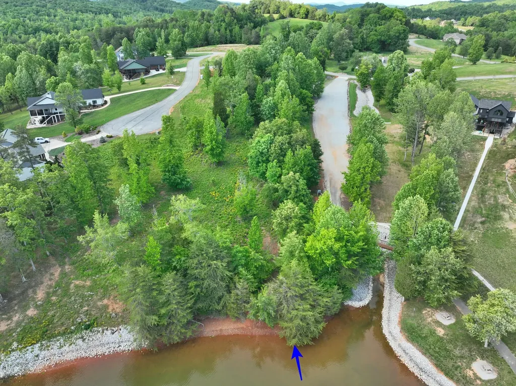 56 Blue Heron Bluff Harriman TN 37748