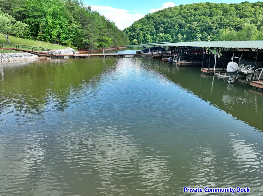 56 Blue Heron Bluff Harriman TN 37748