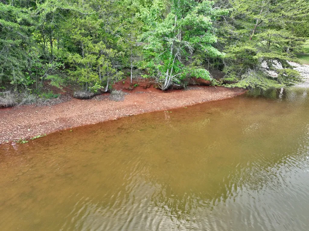 56 Blue Heron Bluff Harriman TN 37748