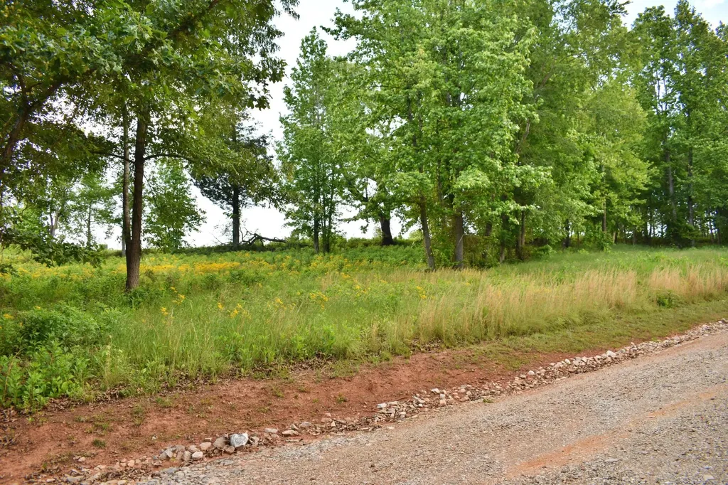 56 Blue Heron Bluff Harriman TN 37748